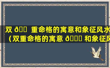 双 🐠 重命格的寓意和象征风水（双重命格的寓意 🐞 和象征风水是什么）